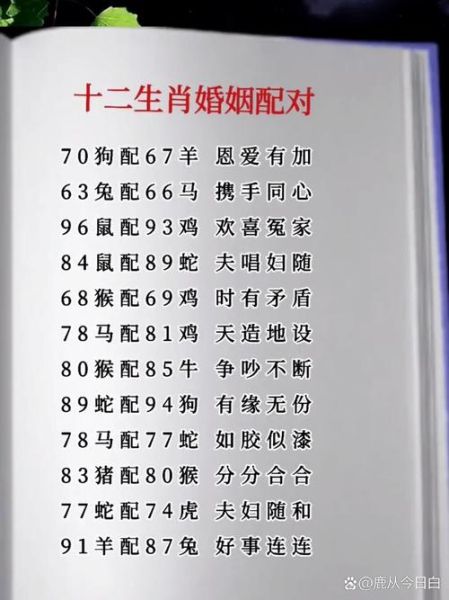 十二生肖夫妻相处属相（十二生肖夫妻相处属相配对大揭密）