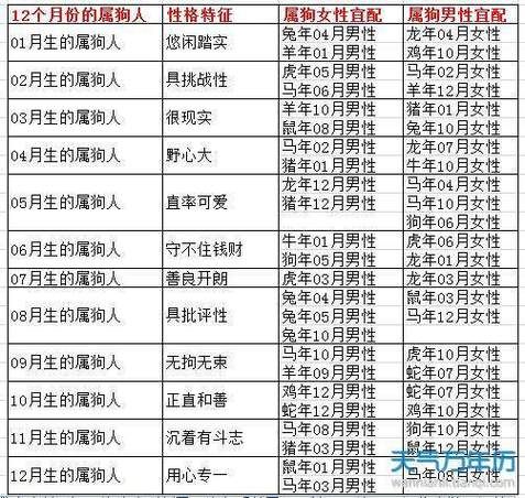 生肖狗最配哪个属相(属狗的最佳婚配属相解析)