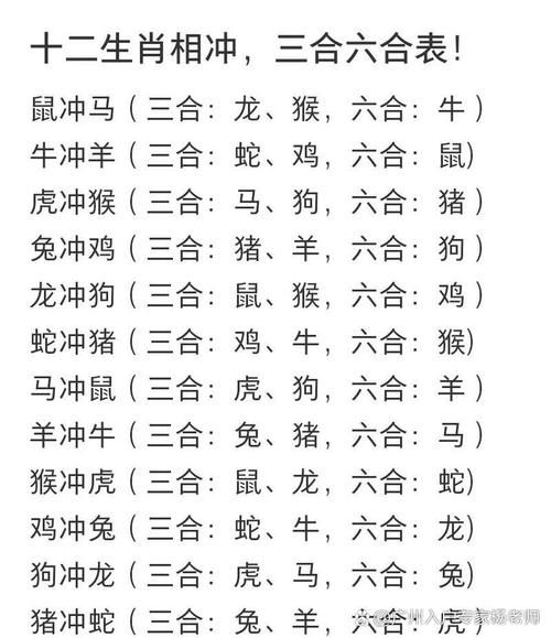 鼠生肖属相相合相冲（鼠生肖和哪些属相相冲）