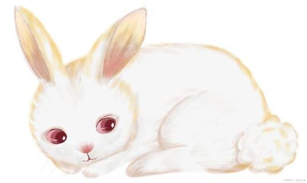 生肖鼠吃饭最好的属相女(属鼠女吃饭最旺的属相配对) 生肖鼠吃饭最好的属相女(属鼠女吃饭最旺的属相配对)