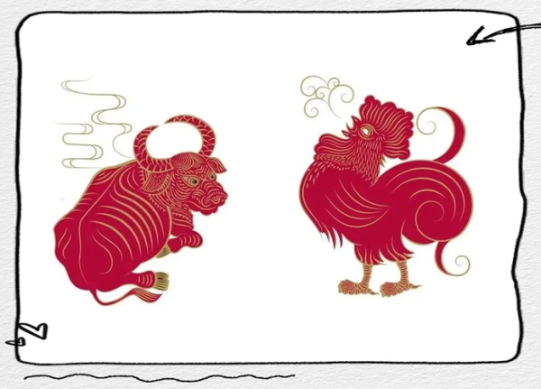 生肖牛属相鸡(生肖牛属相鸡合不合冲不冲?) 生肖牛属相鸡(生肖牛属相鸡合不合冲不冲?)