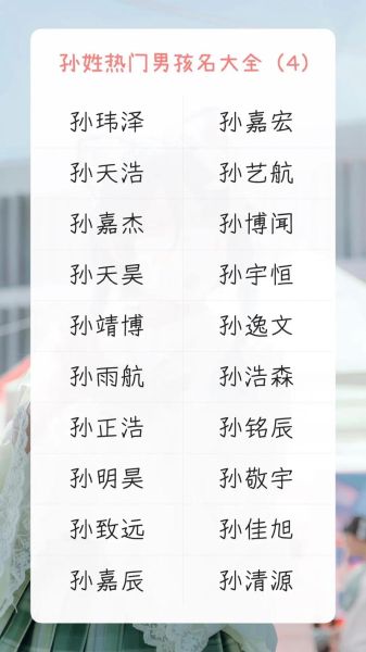 孙字属相什么生肖呢(孙字属什么生肖?新手一看就懂)