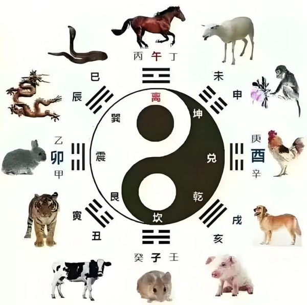 风水最佳生肖属相(风水最佳生肖属相有哪些?)