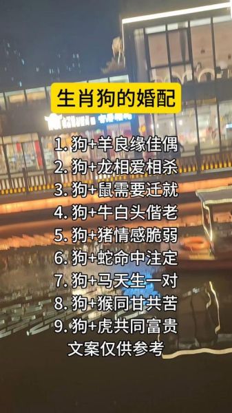 和生肖狗合的属相最配（属狗的和生肖最配的属相）