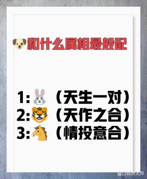 和生肖狗合的属相最配(属狗的和生肖最配的属相) 和生肖狗合的属相最配(属狗的和生肖最配的属相)