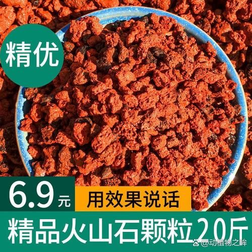 金枝玉叶生肖属相(金枝玉叶是什么生肖属相?)