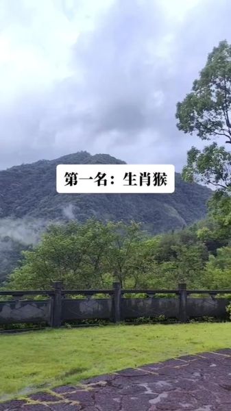 十二生肖孙膑属相(孙膑属相揭秘:孙膑属什么生肖?) 十二生肖孙膑属相(孙膑属相揭秘:孙膑属什么生肖?)