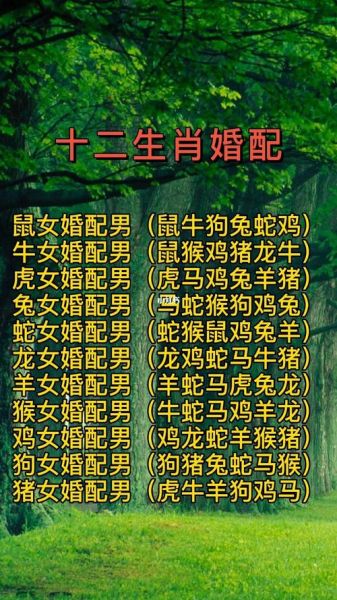 思爱夫妻生肖属相(思爱夫妻生肖属相配对表)