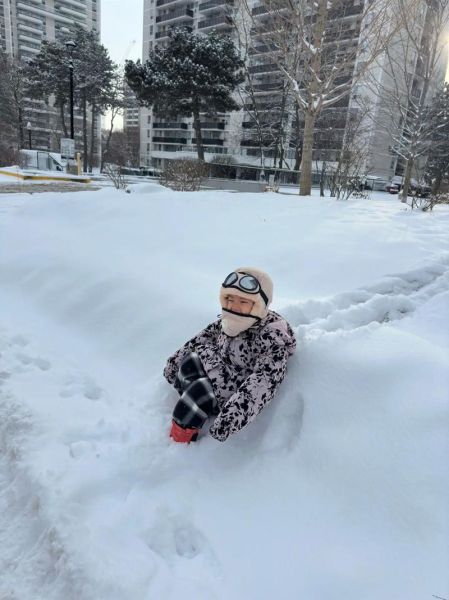 雷春兰属什么生肖属相(雷春兰属什么生肖?)