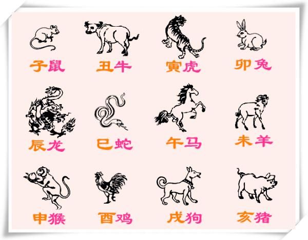 十二生肖以哪个属相分界(十二生肖以立春还是春节分界) 十二生肖以哪个属相分界(十二生肖以立春还是春节分界)