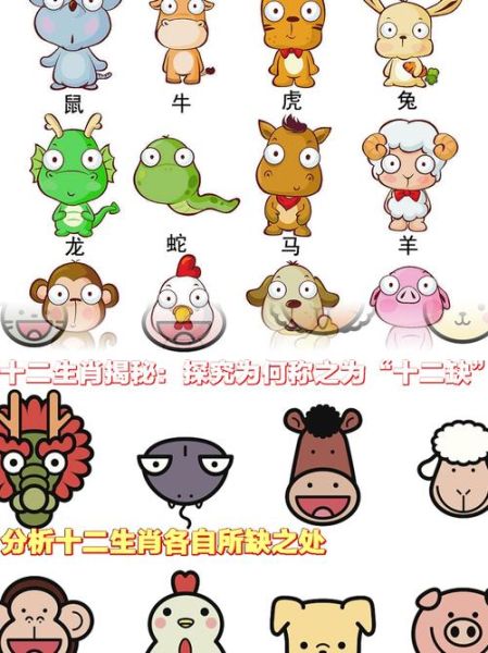 属相十二生肖的牙(十二生肖牙齿特征揭秘🦷)