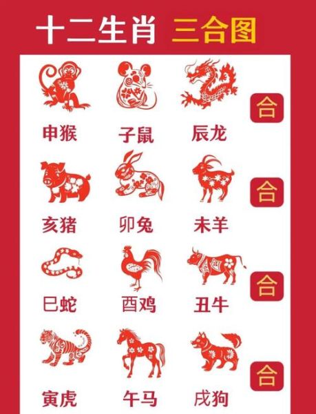 2003什么年生肖属相（2003年属什么生肖？新人一看就懂）