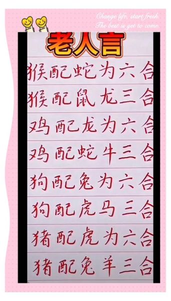 生肖相冲的属相配对(生肖相冲的属相配对指南)