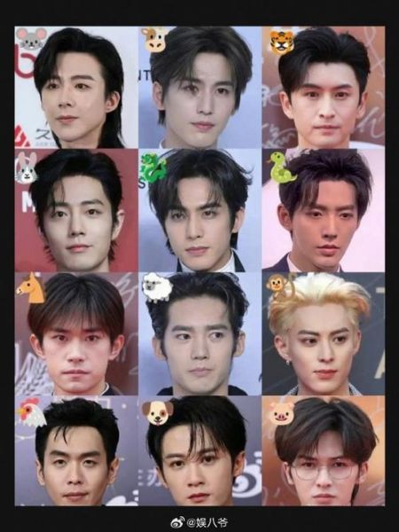 明星有几个生肖属相(明星生肖对照表查询) 明星有几个生肖属相(明星生肖对照表查询)