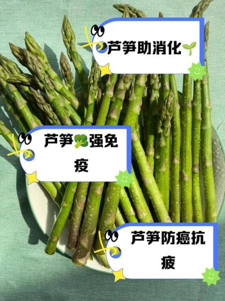 芦笋属何生肖属相(芦笋属何生肖属相?新手一问到底)