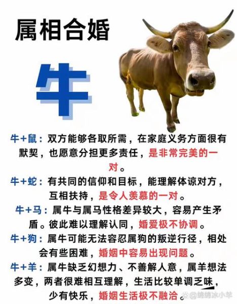 生肖牛是什么属相的克星(生肖牛最怕的三个生肖是谁) 生肖牛是什么属相的克星(生肖牛最怕的三个生肖是谁)