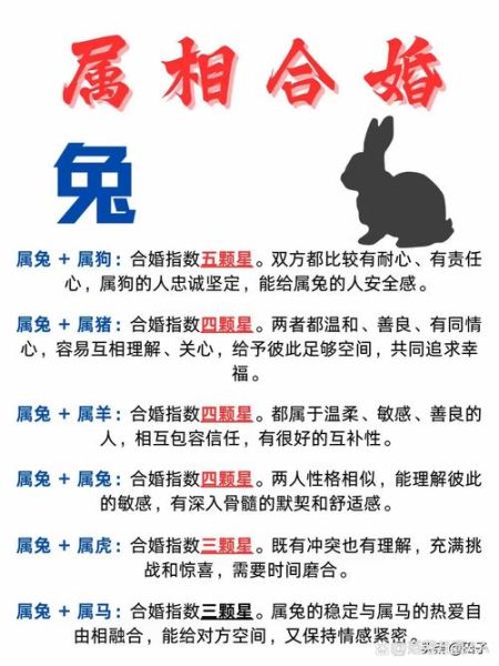 生肖免和各属相（属兔与各属相婚配表查询）