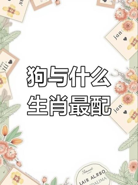 哪些属相喜欢生肖狗(生肖狗的最佳生肖配对是谁?答案)