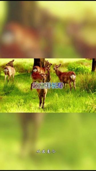 双鹿什么生肖属相好（双鹿牌生肖到底属啥最招财）