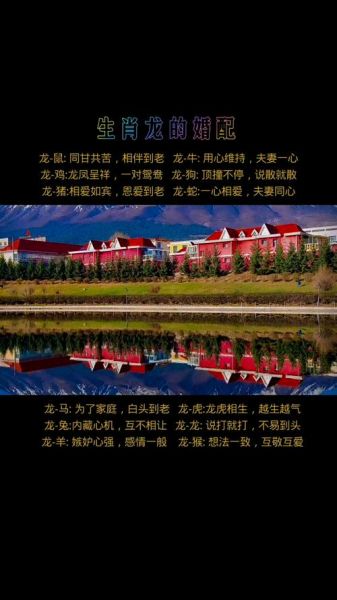 生肖龙忌婚配什么属相