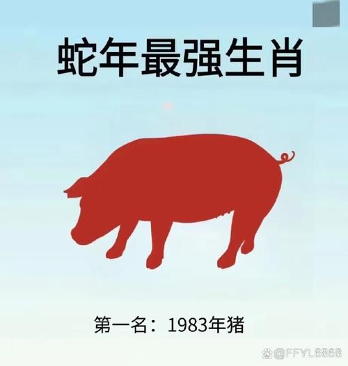 克猪的生肖属相(克猪的生肖属相是什么动物)