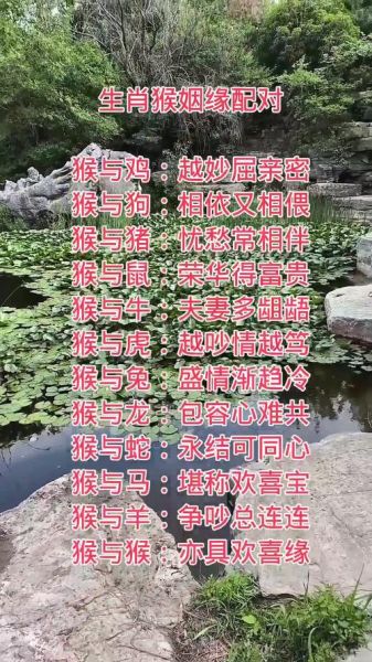 生肖猴相配属相(生肖猴和什么属相最配?)