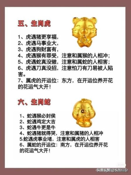 生肖龙虎算命贵人属相（龙虎的贵人属相是什么？）