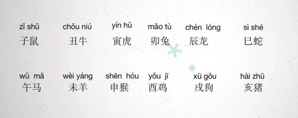 十二生肖属相排名拼音(十二生肖属相排名拼音表新手速查)