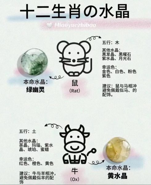 属相带什么生肖好呢