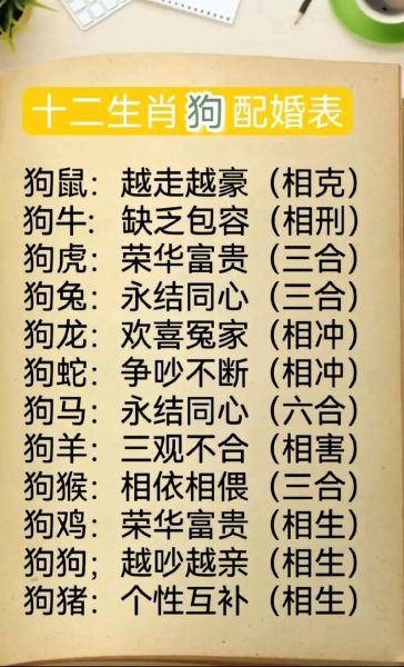 生肖狗和生肖牛伴郎属相(生肖狗生肖牛的伴郎会不会相冲)