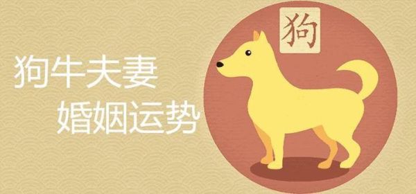 生肖狗和生肖牛伴郎属相(生肖狗生肖牛的伴郎会不会相冲)
