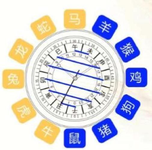 戌属什么生肖属相(戌属什么生肖)