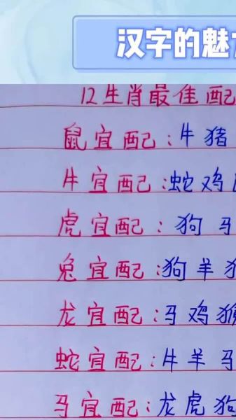 生肖马最佳配对男女属相（生肖马最佳男女配对：属相大揭秘👀）