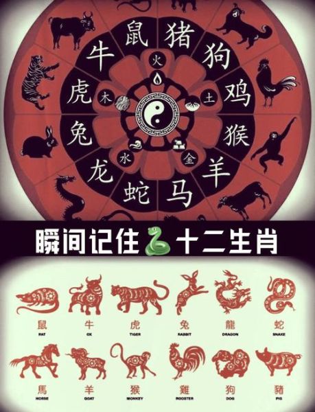 我国十二生肖 属相（新手快速搞清十二生肖顺序）