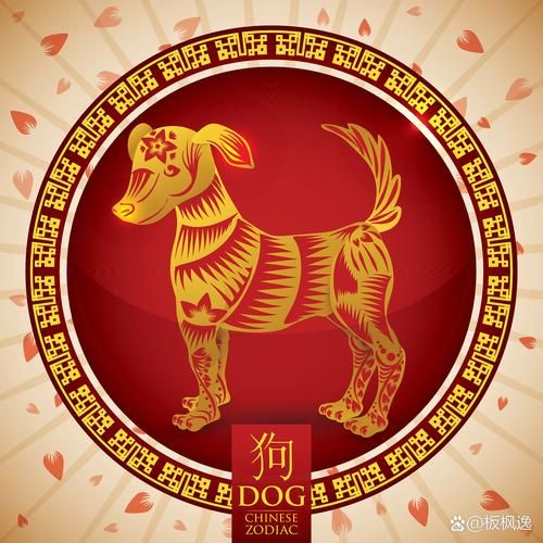 哪些生肖属于狗属相（狗属相有哪些生肖？一看就懂）
