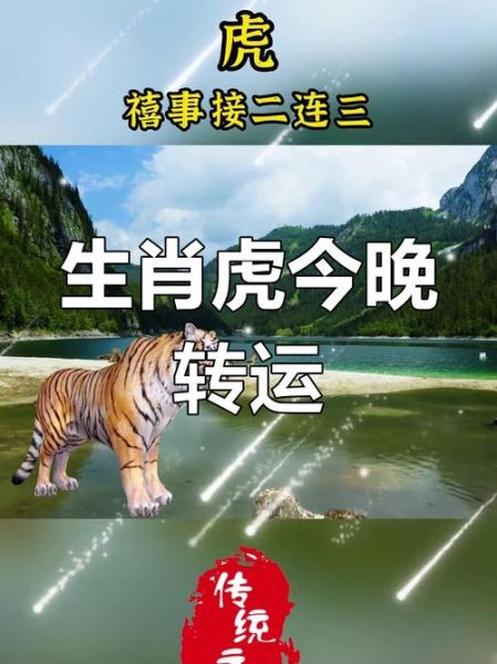 生肖虎跟什么属相和（生肖虎最合的三大属相）