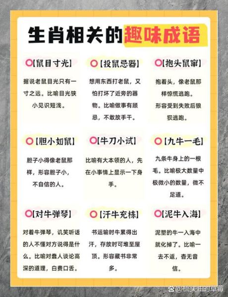生肖属相谜语（12生肖谜语大全带答案）