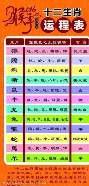 2019年属什么生肖属相（2019年属什么生肖？）