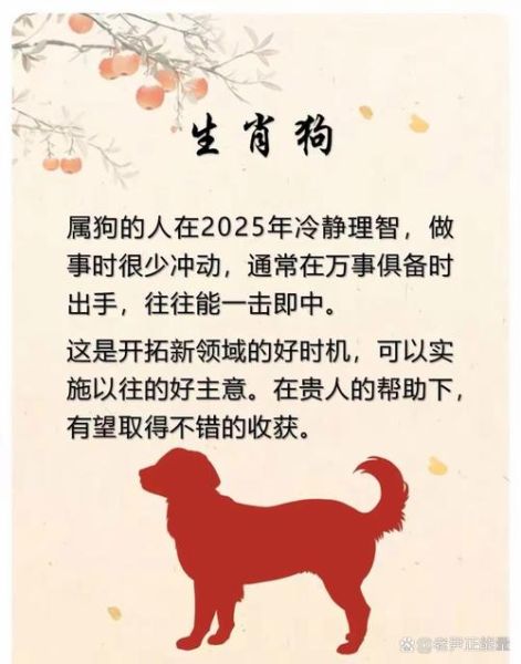陈执中什么生肖属相(陈执中生肖属相是什么)