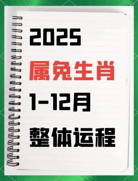 十二生肖属相兔的运势(2025属兔运势及运程详解) 十二生肖属相兔的运势(2025属兔运势及运程详解)