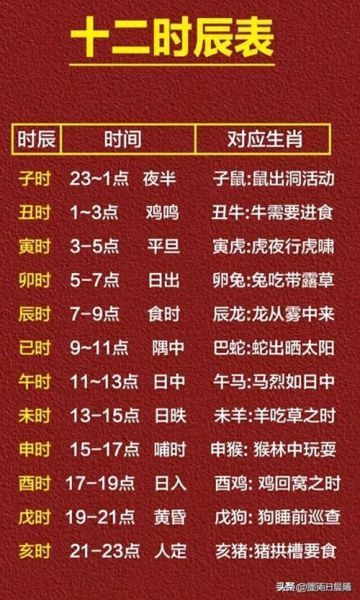 地支生肖属相表(地支生肖属相表查询入门🚀)