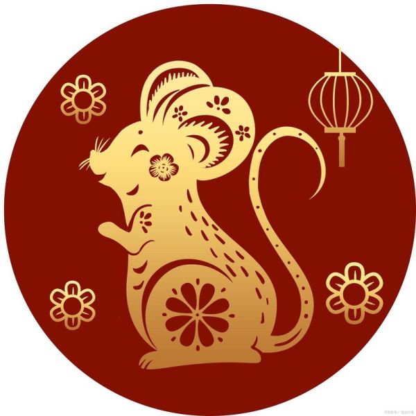 壬己属什么生肖属相