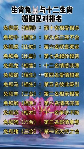生肖兔结婚忌什么属相（属兔结婚忌哪些属相？完整解惑）