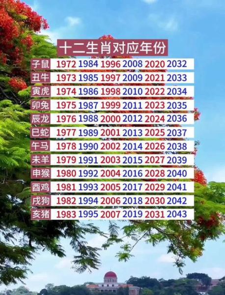 之后几年的生肖属相（之后几年的生肖属相是什么）