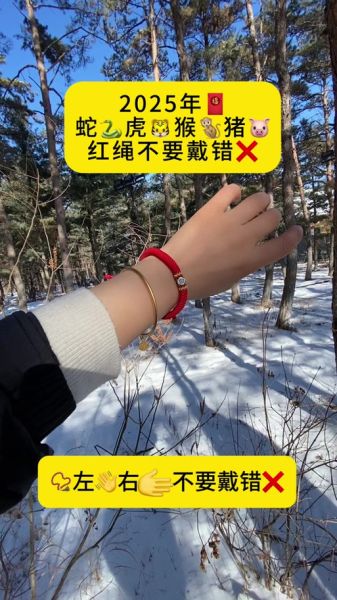 生肖猪红绳戴什么属相（生肖猪2024红绳佩戴禁忌属相）