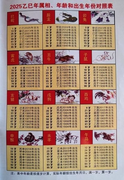 丙辰戊申辛巳什么生肖属相（丙辰年属哪个生肖？）