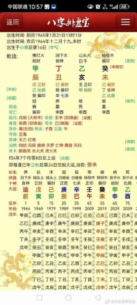 丙辰戊申辛巳什么生肖属相（丙辰年属哪个生肖？）