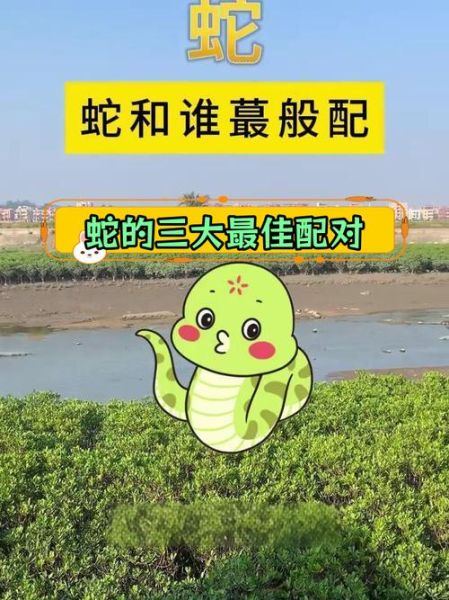 属相蛇配什么生肖最好（生肖蛇最旺配偶到底是谁？）
