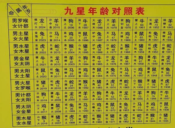 33什么生肖属相2024（2024年33岁属什么生肖？快速查找）