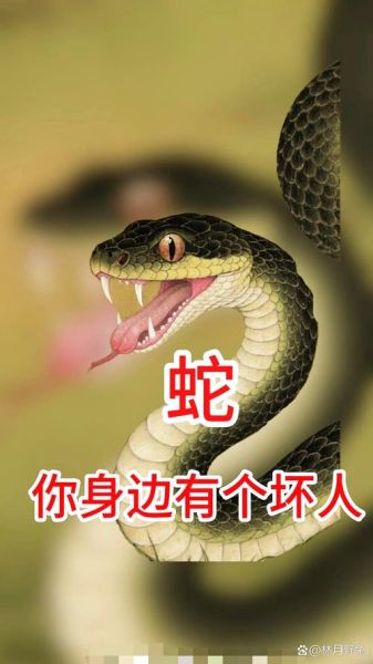 袁熙的生肖属相（袁熙属什么生肖，小白秒懂🐍）